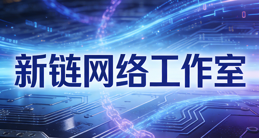 新链网络工作室团队